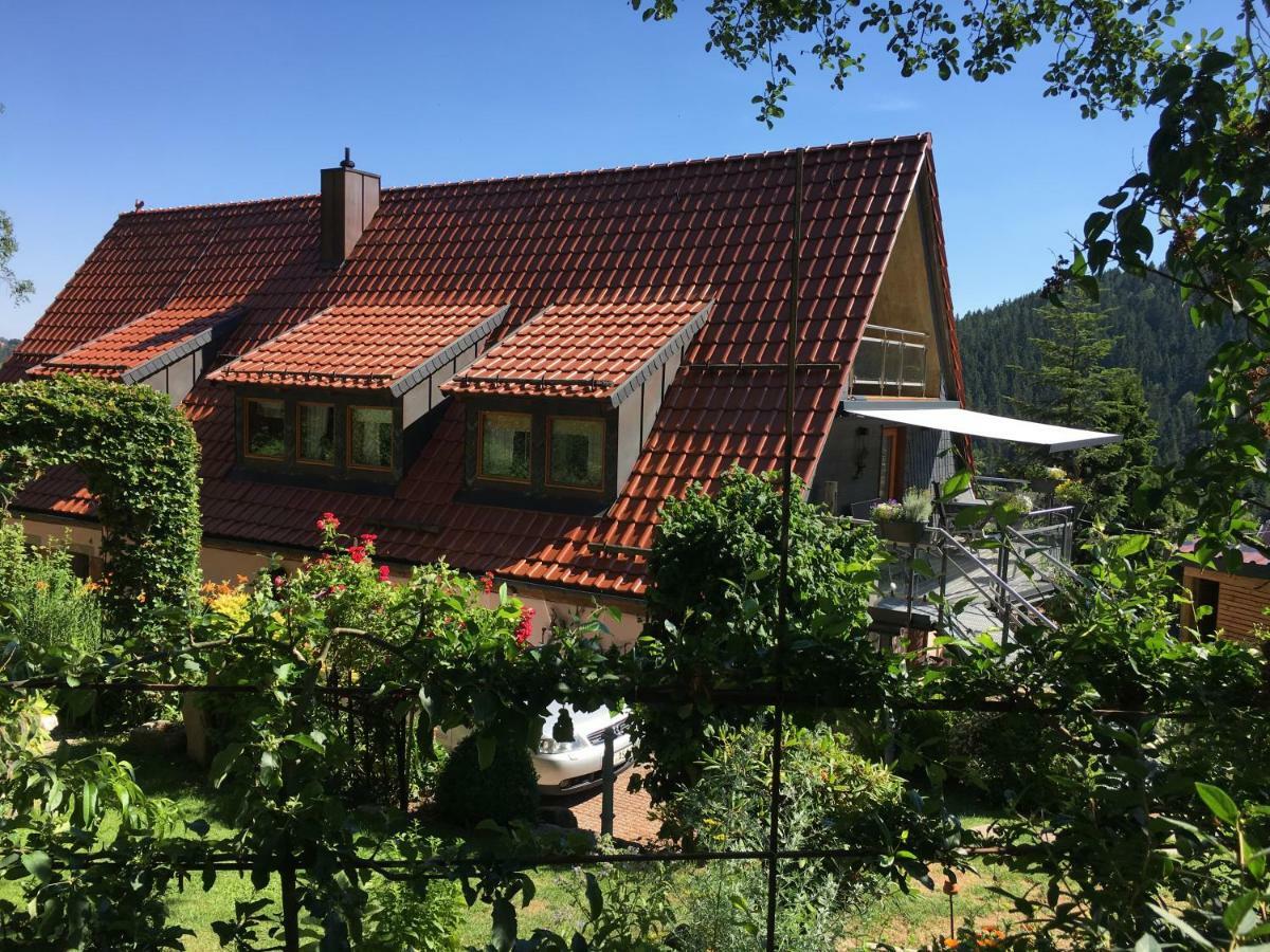 Ferienwohnung Wildenreuth Weidenberg المظهر الخارجي الصورة