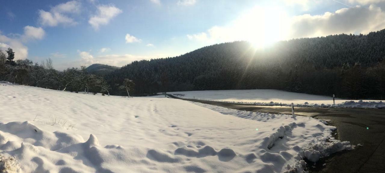 Ferienwohnung Wildenreuth Weidenberg المظهر الخارجي الصورة